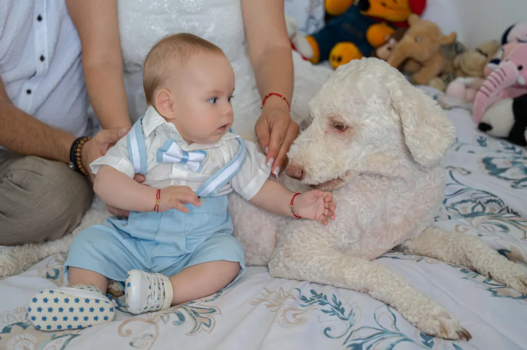 Bebelușul în ținuta de botez, alături de cățelul familiei